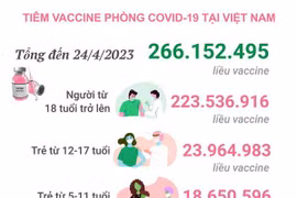 [Infographics] Tình hình tiêm vaccine phòng COVID-19 tại Việt Nam