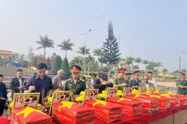 Hài cốt liệt sỹ được quy tập trên địa bàn huyện Tuy Đức. (Ảnh: TTXVN phát)