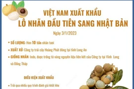 [Infographics] Việt Nam xuất khẩu lô nhãn đầu tiên sang Nhật Bản