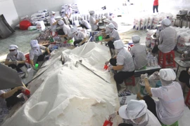 Đóng gói muối ăn tại xưởng sản xuất. (Ảnh: Vũ Sinh/TTXVN)