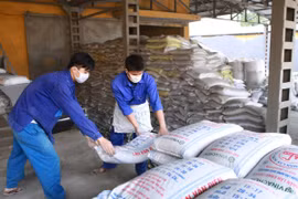 Bốc xếp vận chuyển phân lân đi tiêu thụ. (Ảnh: Hoàng Tùng/TTXVN)