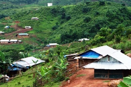 Tình trạng di cư tự do ở Tây Bắc và Tây Nguyên chuyển biến tích cực