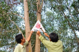 Chủ động bảo vệ rừng, phòng và chữa cháy rừng dịp Tết Nguyên đán