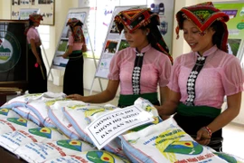 Xuất miễn phí hơn 2000 tấn hạt giống khắc phục hậu quả thiên tai