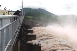 Ảnh minh họa. (Nguồn: TTXVN)