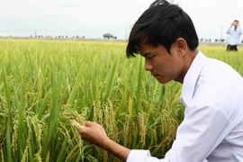 “Muốn nông nghiệp cạnh tranh thành công phải bắt đầu từ giống”