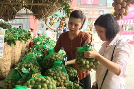 Người tiêu dùng lựa chọn sản phẩm nhãn lồng Hưng Yên tại Tuần lễ nhãn lồng Hưng Yên tại Hà Nội. (Ảnh: Thanh Tâm/Vietnam+)