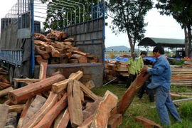 Một ô tô chở gỗ lậu bị phát hiện. (Ảnh: Thế Lập/TTXVN)