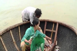 Người dân đang rất lo lắng khi những ngày gần đây cá chết bất thường không rõ nguyên nhân ở Quảng Trị. (Ảnh: Trần Tĩnh/TTXVN)