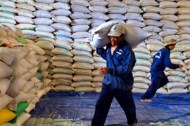 Bốc xếp gạo phục vụ xuất khẩu. (Ảnh: Duy Khương/TTXVN)