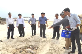 Đoàn kiểm tra giám sát việc thu gom và tiêu hủy cá chết. (Ảnh Trần Tĩnh/TTXVN)