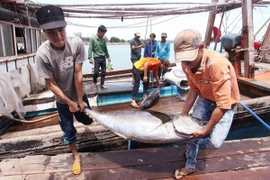 Sản lượng thủy sản 11 tháng ước đạt hơn 5,8 triệu tấn 