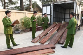 Yêu cầu xử lý nghiêm kẻ chở gỗ lậu đâm chết cán bộ kiểm lâm 