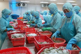 Cơ quan kiểm dịch Nga sẽ thị sát doanh nghiệp thủy sản Việt Nam