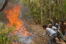 Nguy cơ cháy rừng ở nhiều địa phương tăng lên mức nguy hiểm