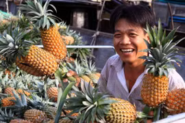Bán dứa Cầu Đúc (Hậu Giang) trên chợ nổi. (Ảnh: Duy Khương/TTXVN)