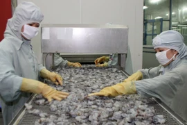 Khôi phục xuất khẩu tôm sú sống sang thị trường Trung Quốc 