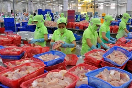 Chế biến cá tra phục vụ xuất khẩu. (Ảnh An Hiếu/TTXVN)