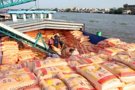 Bốc xếp gạo xuất khẩu tại công ty lương thực Long An. (Ảnh: Đình Huệ/TTXVN)