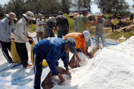 Diêm dân thu hoạch muối ở huyện Cần Giờ. (Ảnh: Mạnh Linh/TTXVN) 