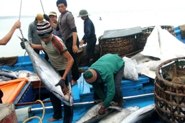 Ngành nông nghiệp bứt phá với một năm được mùa và được giá 