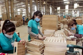 2,6 triệu Euro giúp xây dựng nguồn gỗ xuất khẩu hợp pháp