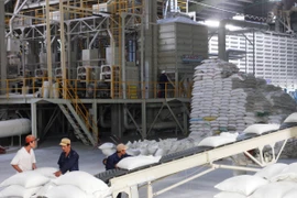 Vận chuyển gạo vào kho phục vụ xuất khẩu. (Ảnh: Đình Huệ/TTXVN)