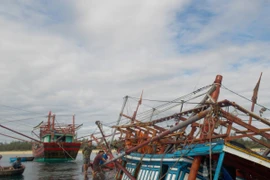 Ảnh minh họa. (Nguồn: Đoàn Hữu Trung/TTXVN)