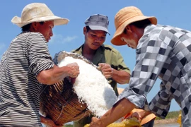 Diêm dân thu hoạch muối ở thị trấn Cần Giờ. (Ảnh: Mạnh Linh/TTXVN)