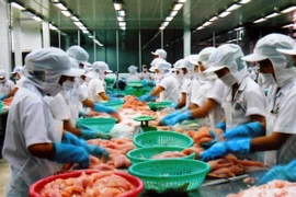 Chế biến cá tra xuất khẩu. (Ảnh: Văn Khánh/TTXVN)