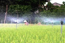 Mục tiêu 500.000ha diện tích cây trồng được tưới hiện đại