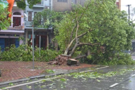 Siêu bão Rammasun đổ bộ khiến 4 người chết, 2 người mất tích