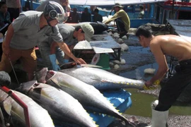 Thực hiện Nghị định 67: Ngư dân vẫn chưa được hưởng lợi