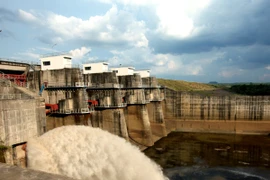 Ảnh minh họa. (Nguồn: Ngọc Hà/TTXVN)