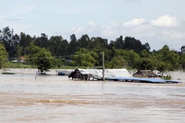 Cảnh báo nguy cơ lũ quét và sạt lở đất ở các tỉnh Bắc Bộ
