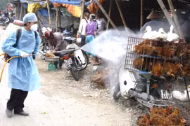 Phun thuốc khử trùng tiêu độc khu vực buôn bán gia cầm tại chợ Hà Vĩ (Hà Nội). (Ảnh: Đình Huệ/TTXVN)