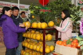 Hội chợ Xuân Ất Mùi 2015, nơi hội tụ hương vị Xuân đất Việt