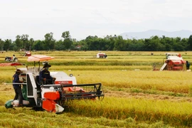 Ứng dụng khoa học công nghệ phục vụ tái cơ cấu ngành trồng trọt