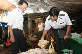 Cán bộ thú y kiểm tra sản phẩm gia cầm đang tiêu thụ tại chợ Phú Bài. (Ảnh: Đình Huệ/TTXVN)