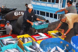 Sản lượng thủy sản sáu tháng đầu năm ước đạt gần 3 triệu tấn