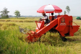 Năm tiêu chí công nhận vùng nông nghiệp công nghệ cao 