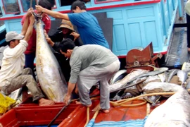 Sản lượng thủy sản tăng, ngư dân phấn khởi thu lãi đầu năm 