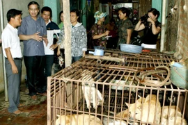 Đoàn thanh tra liên ngành giám sát, kiểm tra tại các cơ sở chế biến, kinh doanh thịt chó tại Hà Nội. (Ảnh: Dương Ngọc/TTXVN)