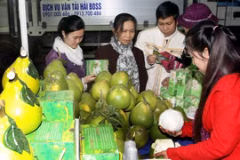Ảnh minh họa. (Nguồn: Thanh Tùng/TTXVN)