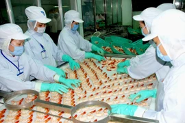 Chế biến thủy sản xuất khẩu tại Cà Mau. (Ảnh: Lê Huy Hải/TTXVN)