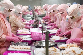 Mỹ công bố sơ bộ mức thuế chống bán phá giá với tôm Việt Nam 