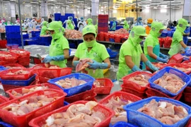 Chế biến cá tra xuất khẩu tại Đồng Tháp. (Ảnh: An Hiếu/TTXVN)