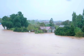 Thúc đẩy ứng dụng công nghệ viễn thám trong nông nghiệp