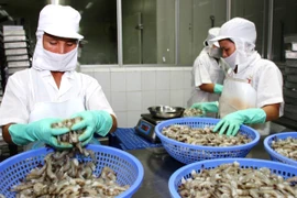 Chế biến tôm phục vụ xuất khẩu. (Ảnh: Huy Hùng/TTXVN)