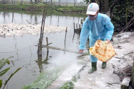 Phát hiện chim trĩ đỏ nuôi tại Lào Cai bị nhiễm virus cúm H5N6